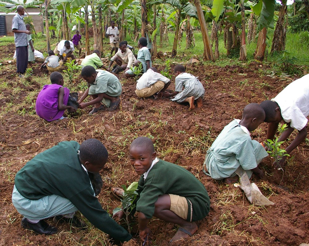 Community Impact